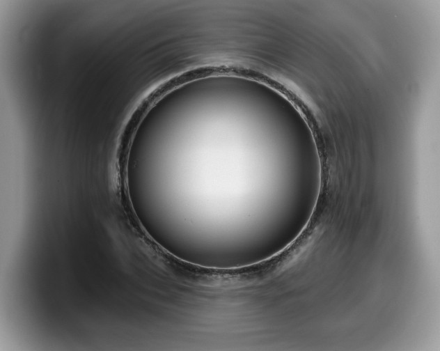 X0000099960927200805301311