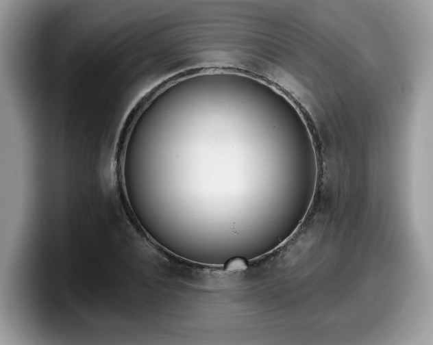 X0000099960928200805301311