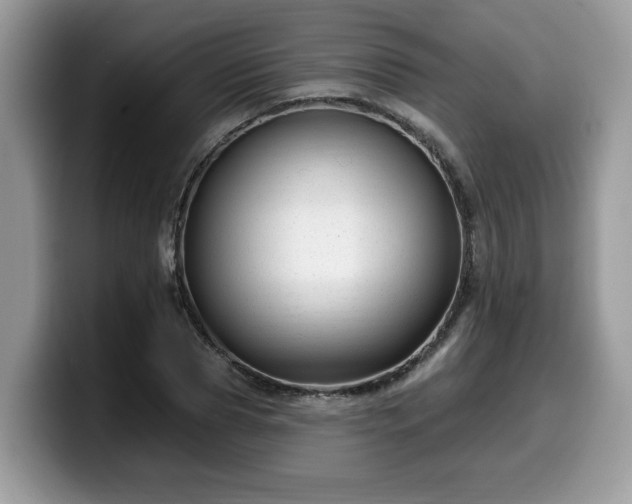 X0000099960929200805301311