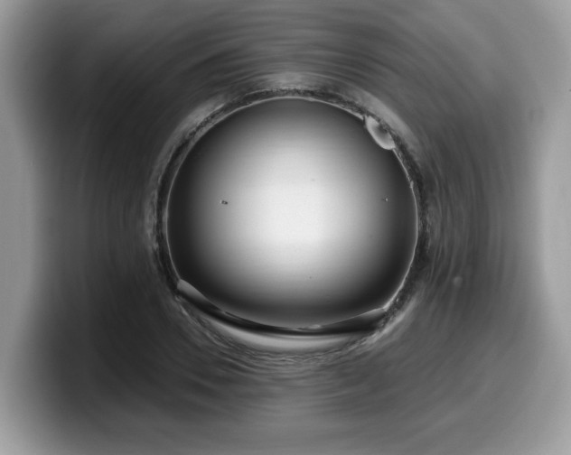 X0000099960930200805301311