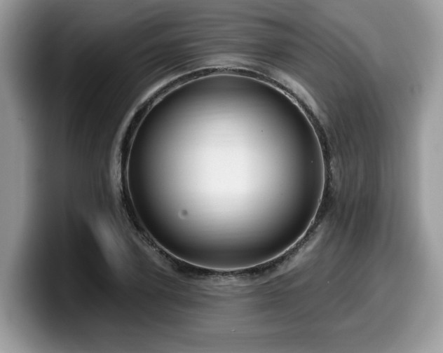 X0000099960931200805301311