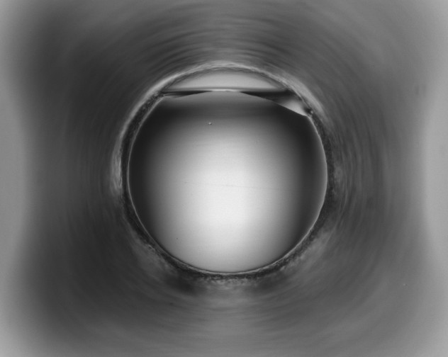 X0000099960934200805301311