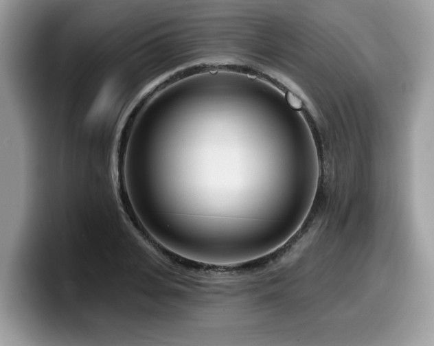 X0000099960935200805301311
