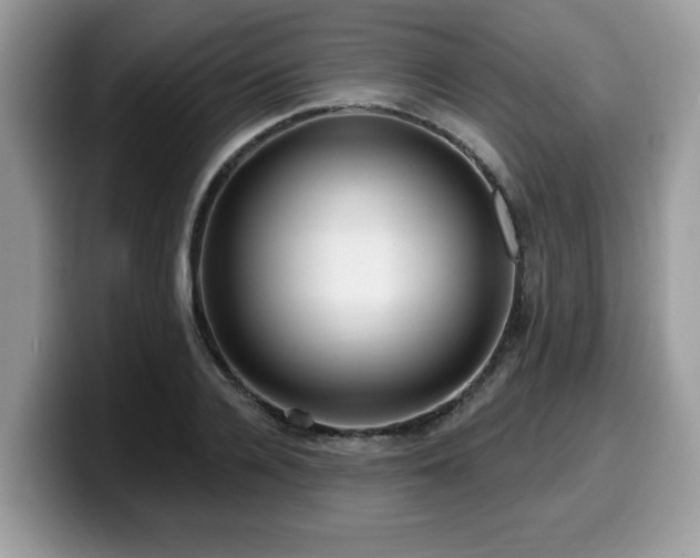 X0000099960936200805301311