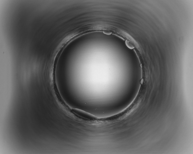 X0000099960938200805301311
