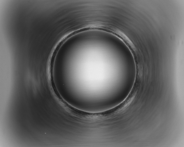 X0000099960939200805301311