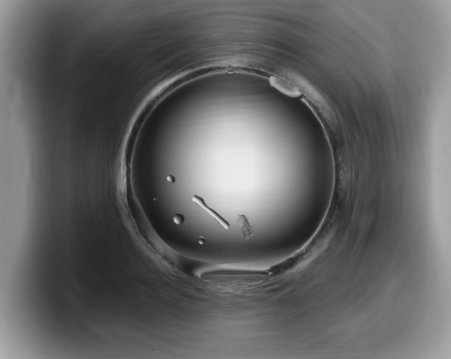 X0000099960940200805301311
