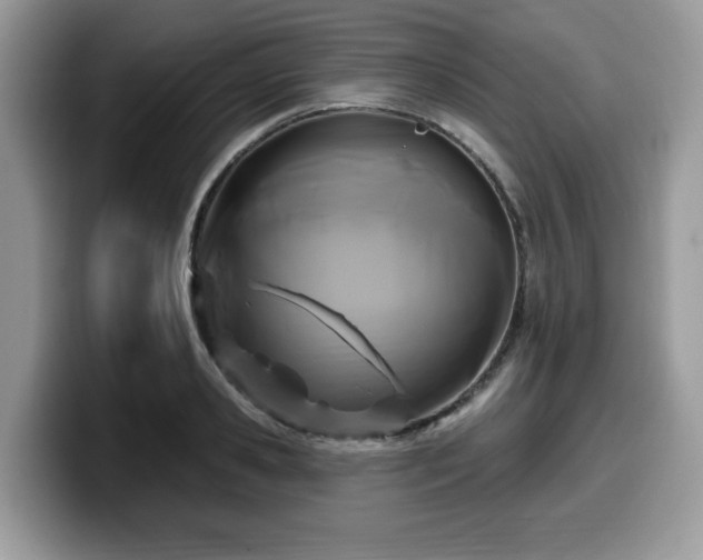 X0000099960941200805301311