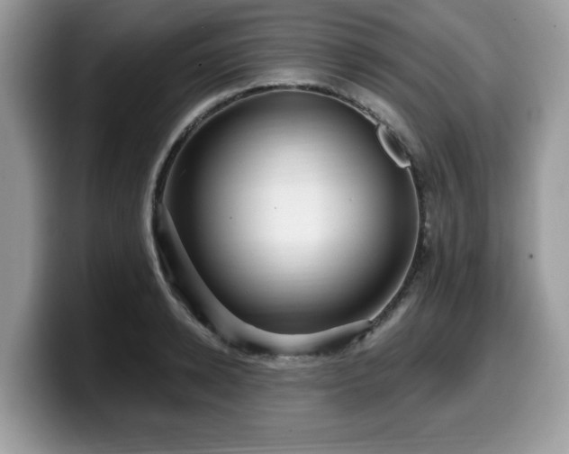 X0000099960942200805301311