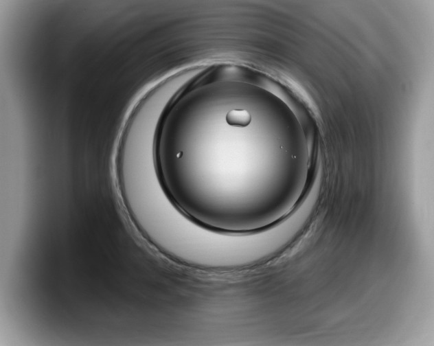 X0000099960944200805301311