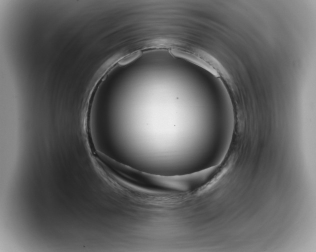 X0000099960946200805301311