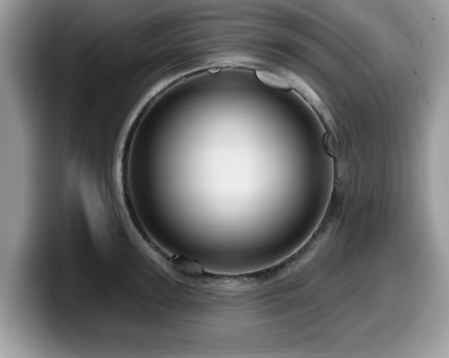 X0000099960947200805301311