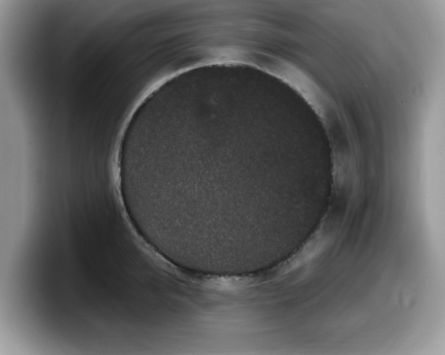 X0000099960950200805301311