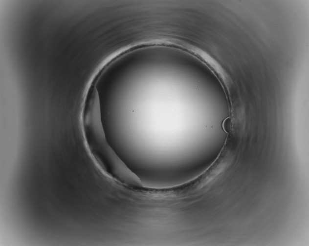 X0000099960951200805301311