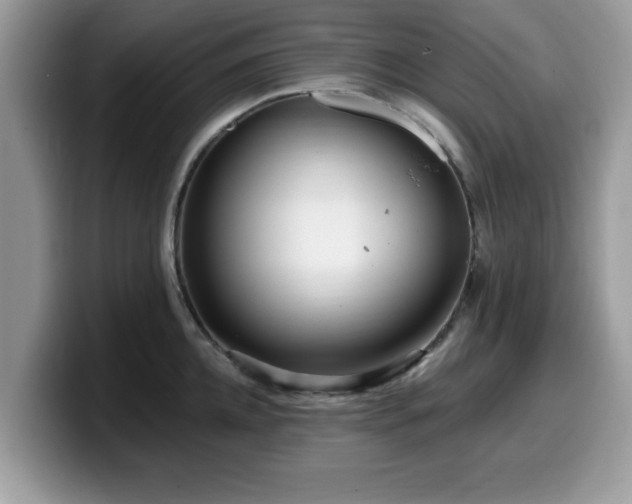 X0000099960952200805301311