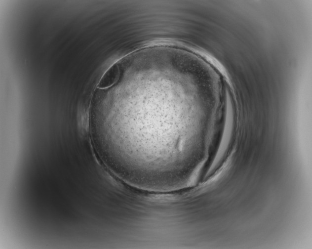 X0000099960953200805301311