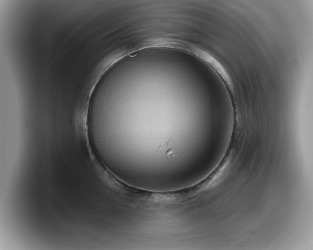X0000099960954200805301311