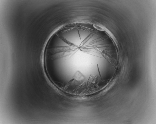 X0000099960957200805301311