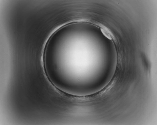 X0000099960959200805301311