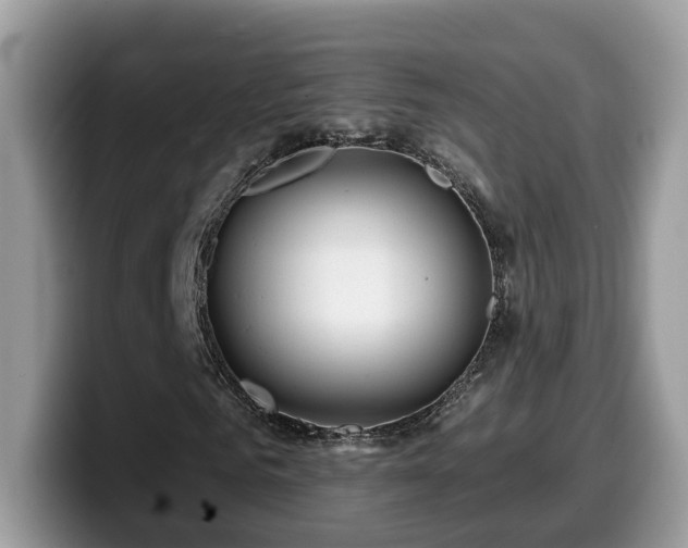 X0000099960961200805301311