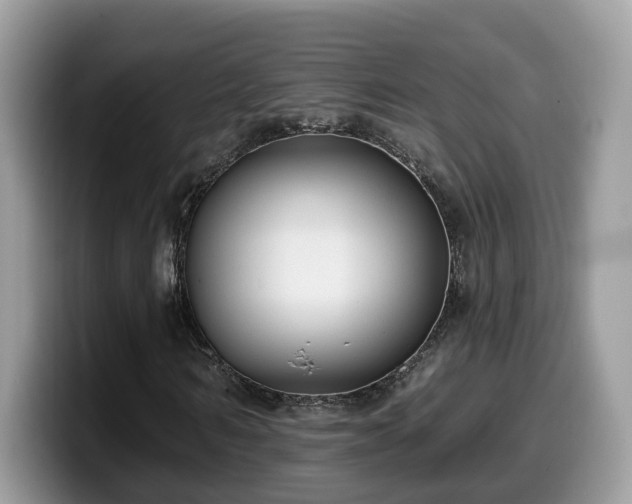 X0000099960962200805301311