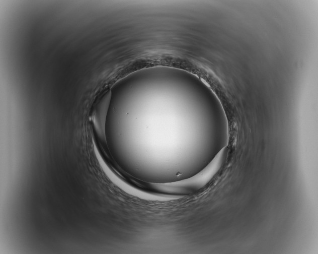 X0000099960965200805301310