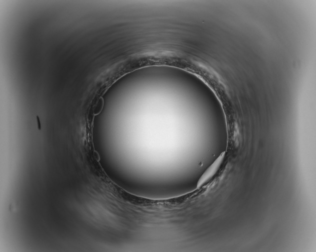 X0000099960966200805301310