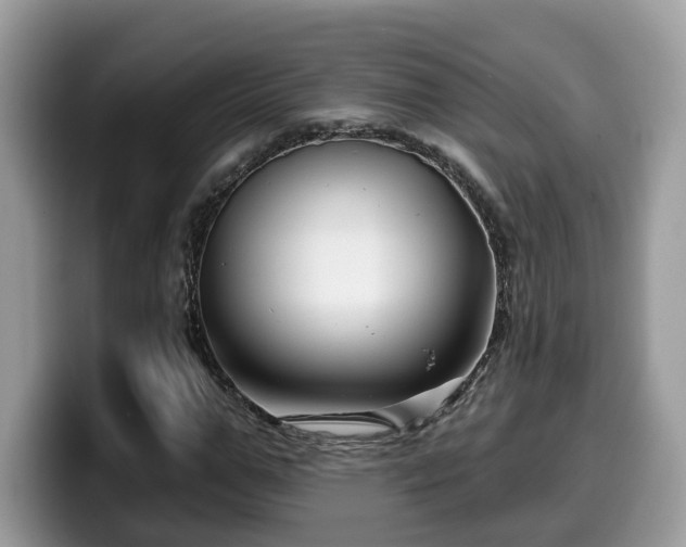 X0000099960967200805301310
