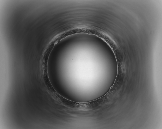 X0000099960968200805301310