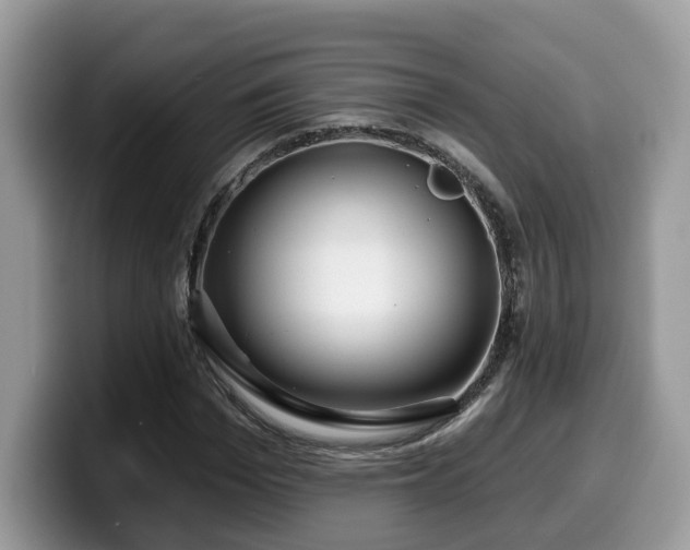 X0000099960969200805301310