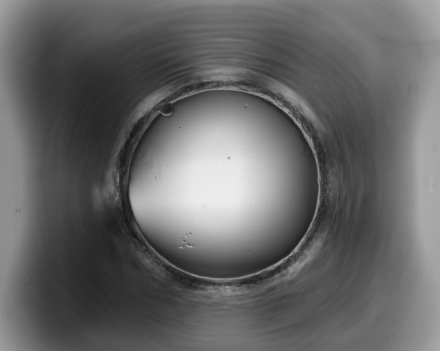 X0000099960970200805301310