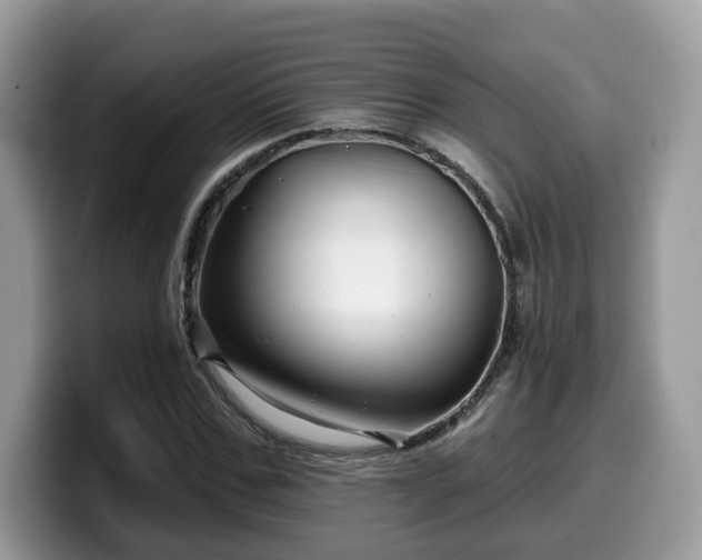 X0000099960971200805301310