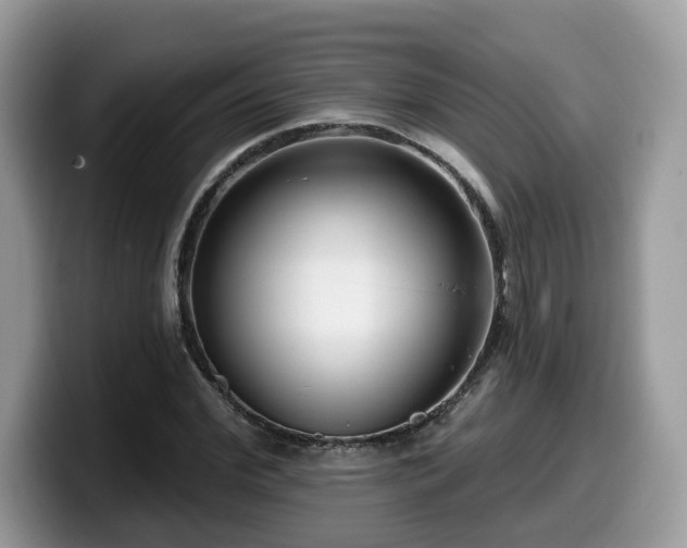 X0000099960972200805301310