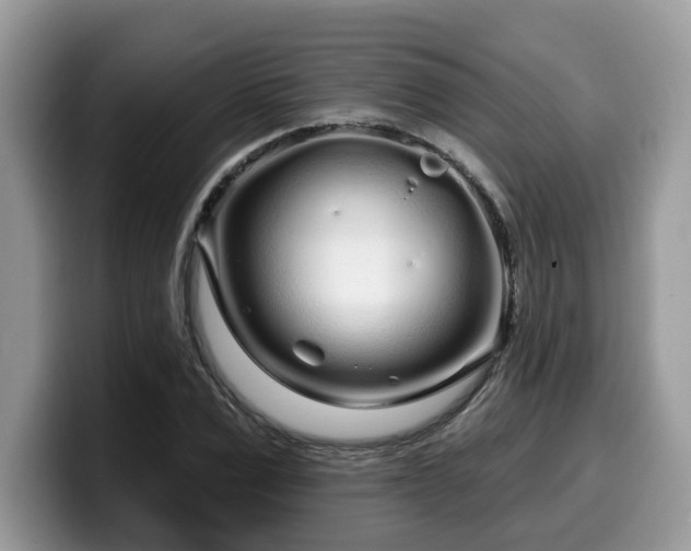 X0000099960975200805301310
