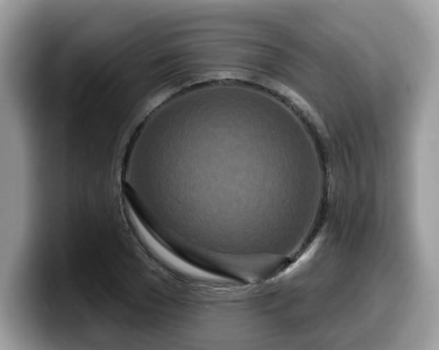 X0000099960977200805301310