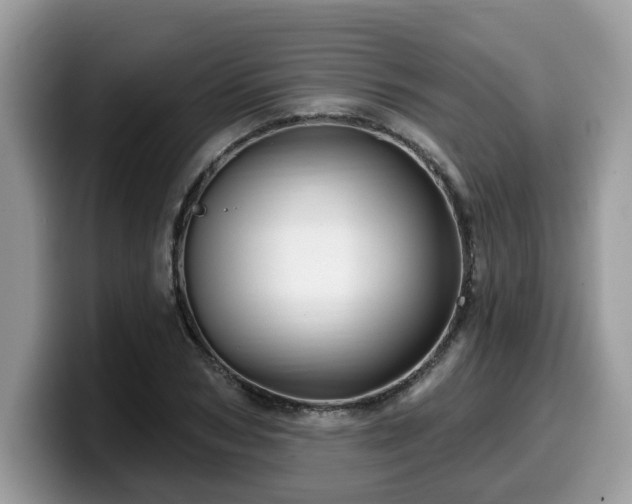 X0000099960978200805301310