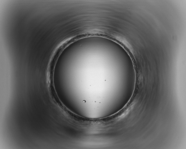 X0000099960979200805301310