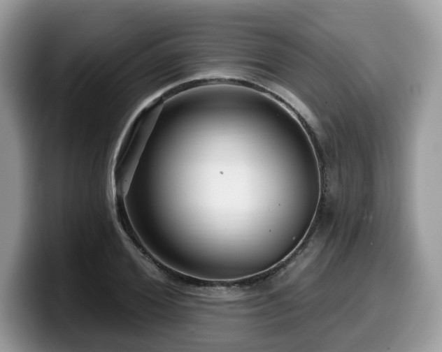 X0000099960980200805301310