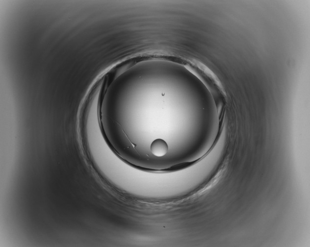 X0000099960981200805301310