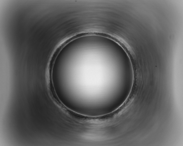 X0000099960982200805301310