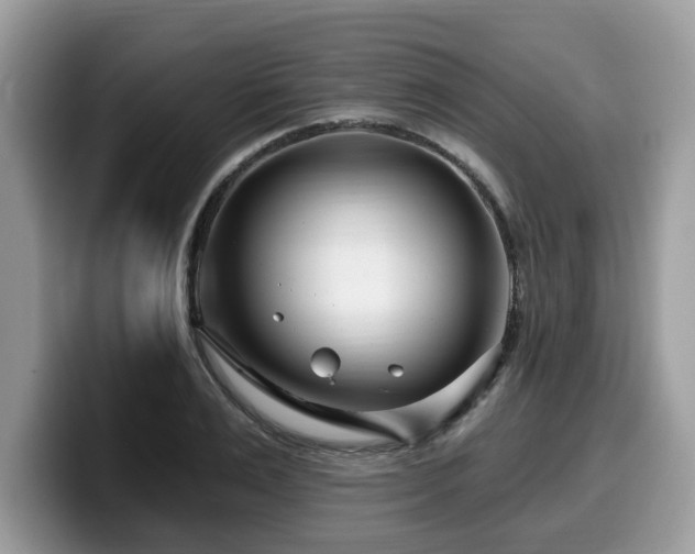 X0000099960983200805301310