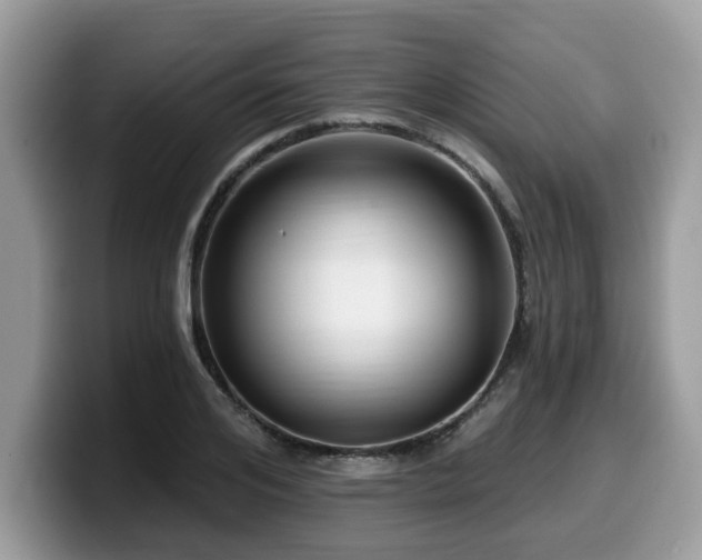 X0000099960984200805301310