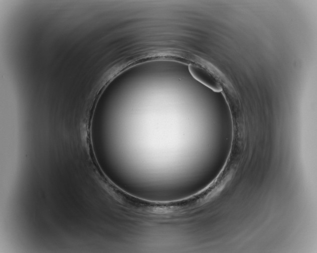 X0000099960985200805301310
