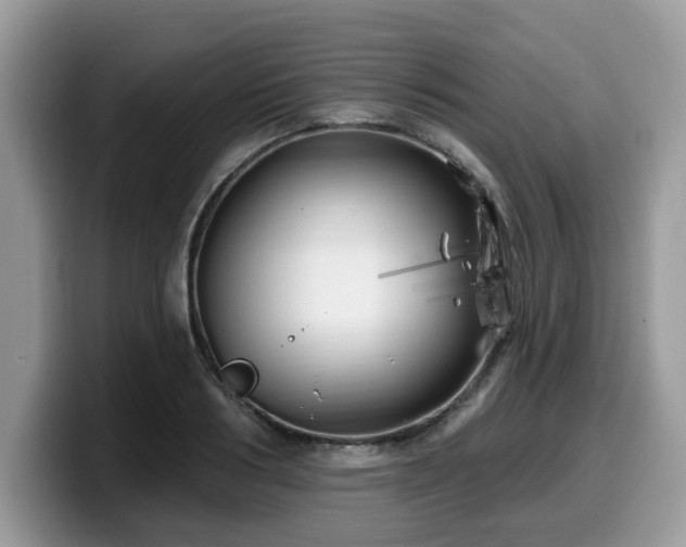 X0000099960986200805301310