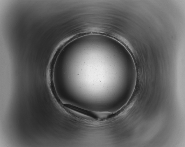 X0000099960987200805301310