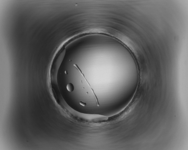 X0000099960988200805301310