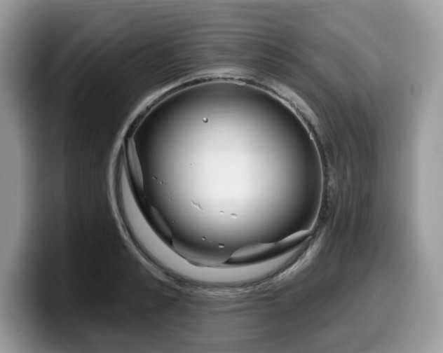 X0000099960989200805301310
