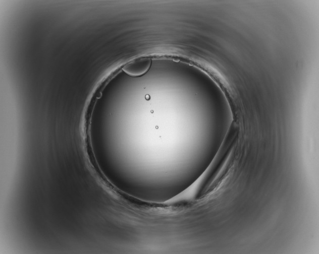 X0000099960990200805301310