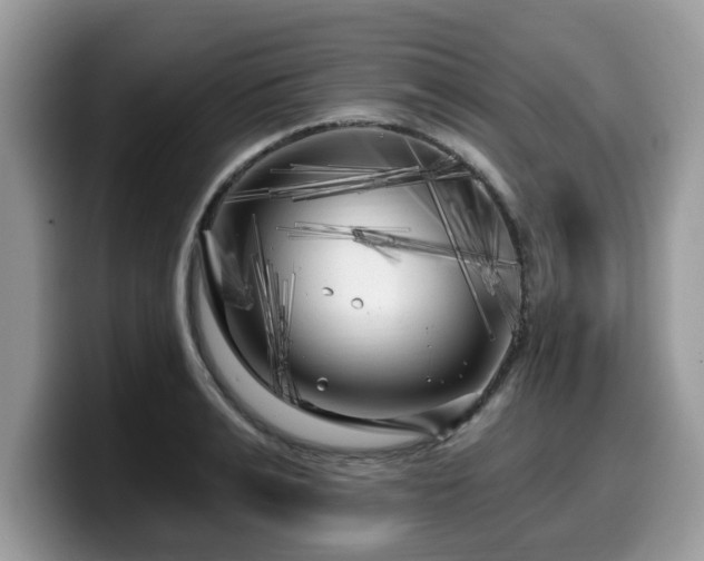 X0000099960991200805301310