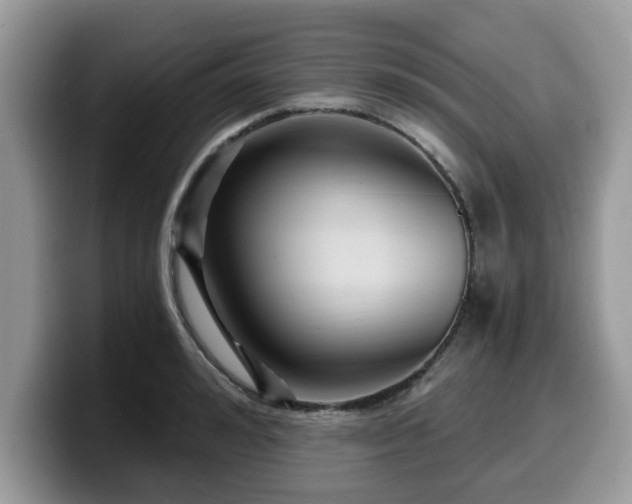 X0000099960992200805301310